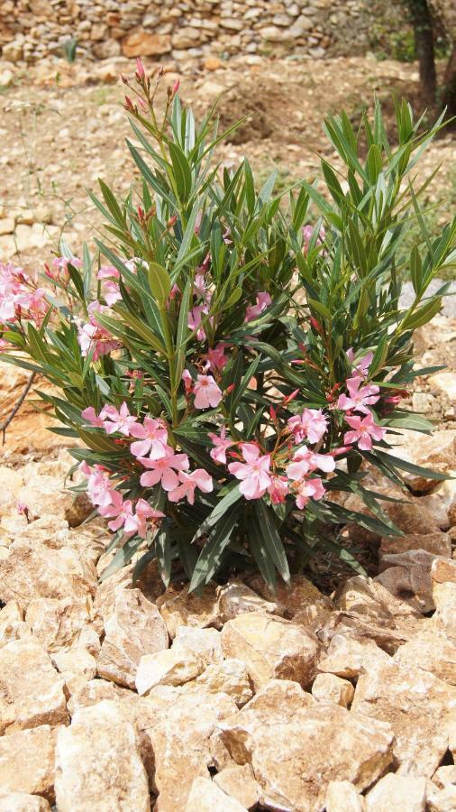 הוילה Sauve Retour Aux Sources מראה חיצוני תמונה